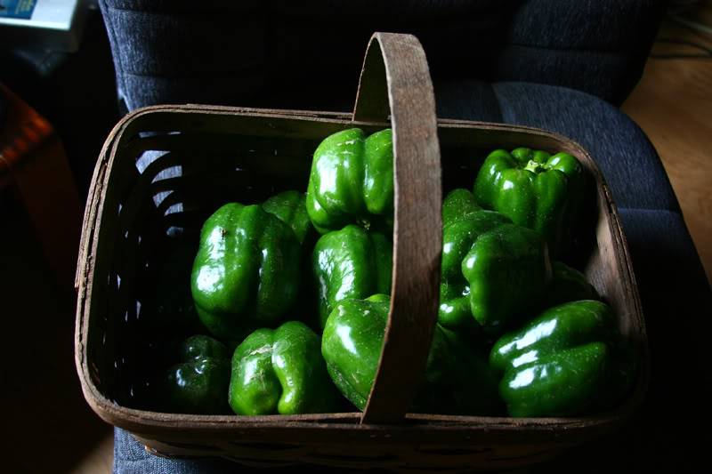bellpepperbskt.jpg