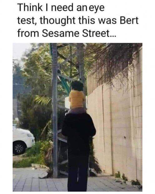 bert.jpg
