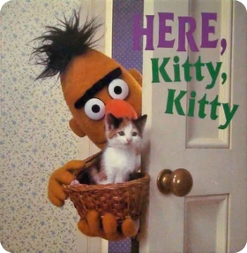 Bert_Here_Kitty_Kitty.webp