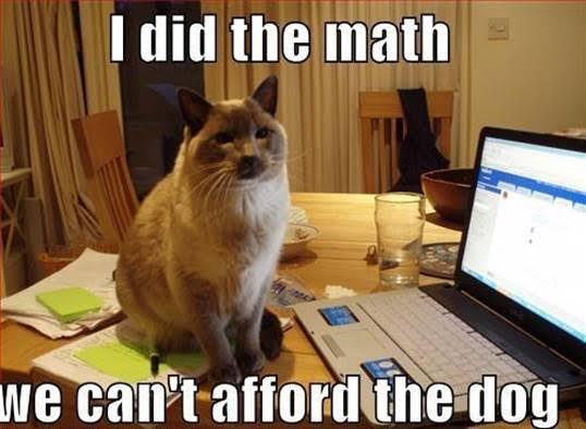 Best-captions-ever5.jpg