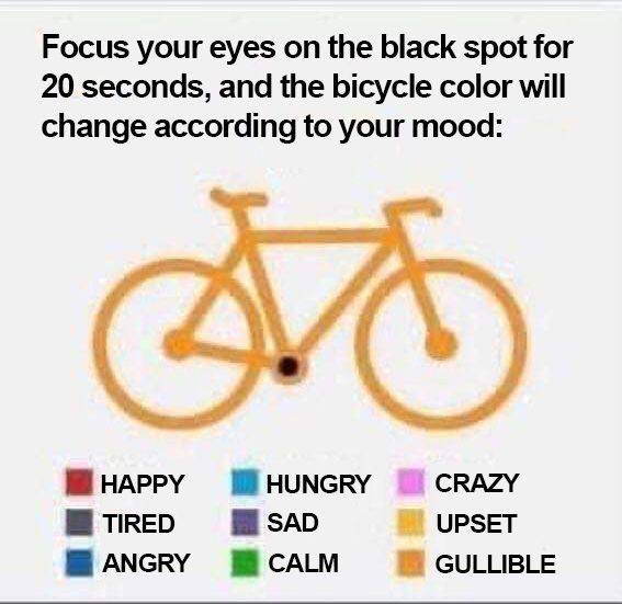 Bicycle Color - Moods.jpg