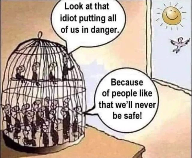 birds in a cage..webp