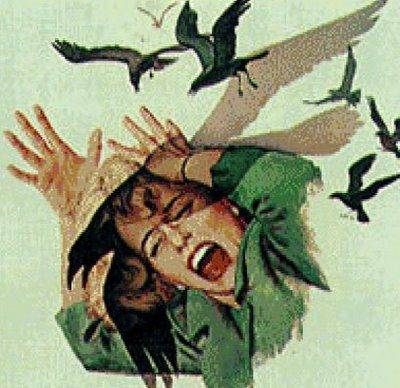 birds.jpg