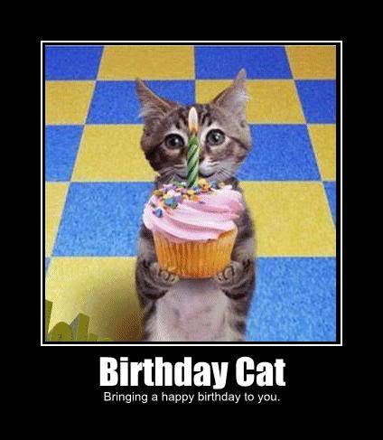 birthday-cat-bringing-a-happy-birth.jpg