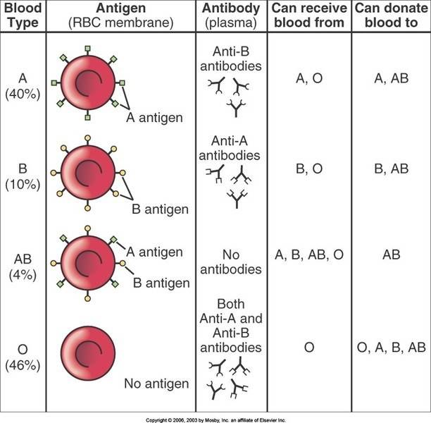 Blood_0090061.jpg