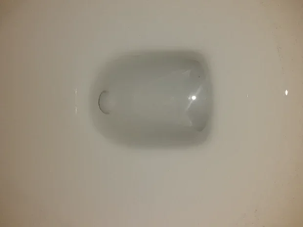 bottom of toilet bowl.webp