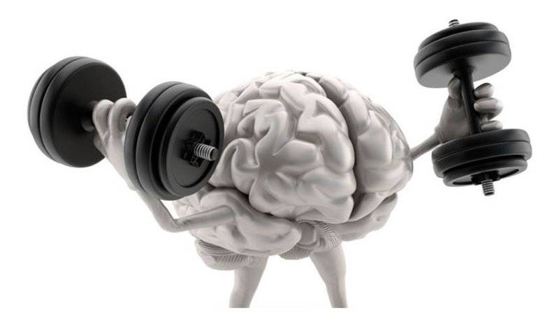 Brain lifting weights.JPG