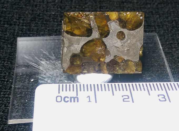 Brenham Pallasite - Kansas, USA #025 sm.jpg