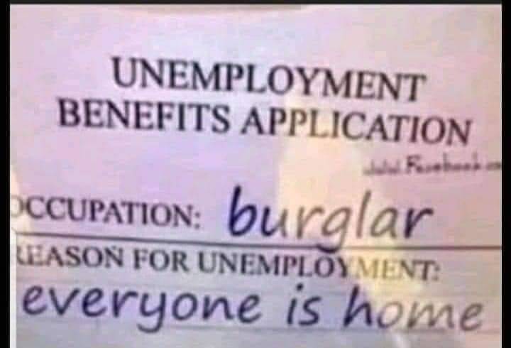 burglar.jpeg