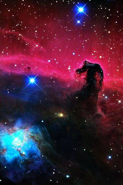 c4ccc66b383775c81cdbe3be60ee386e--black-stallion-horsehead-nebula.jpg
