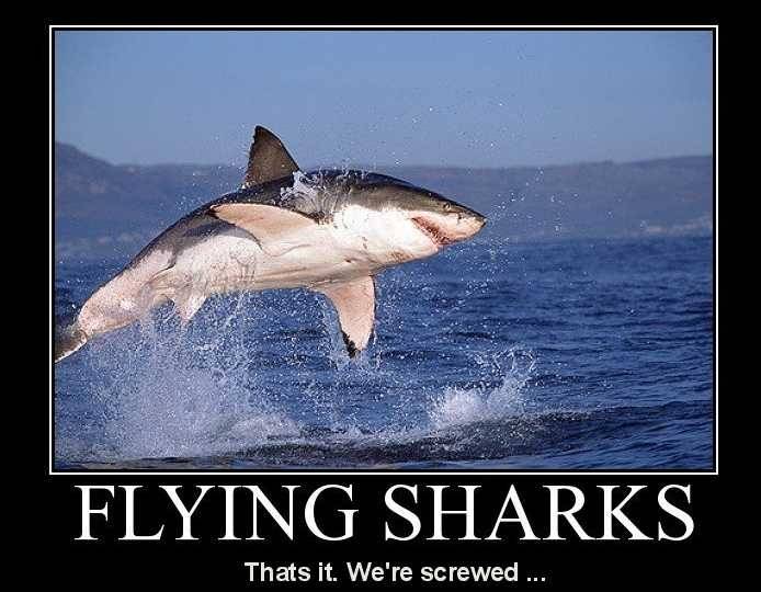 c943aa0970d64d10ed1404f8d2483665--great-white-shark-fun-things.jpg