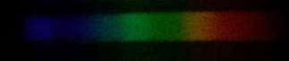CAADA9F0-687B-4925-83E6-C8B0320DDA0B.jpeg