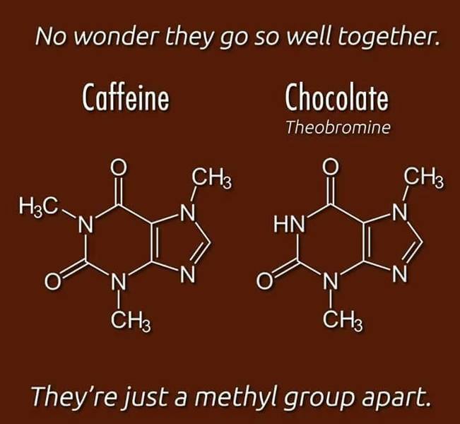 caffeine and chocolate.jpg