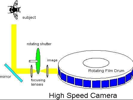 cam.jpg