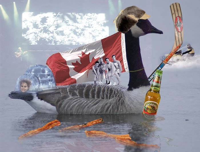 CanadaGoose.jpg