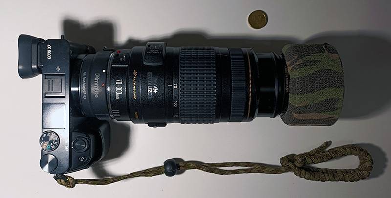 Cannon (x800).jpg