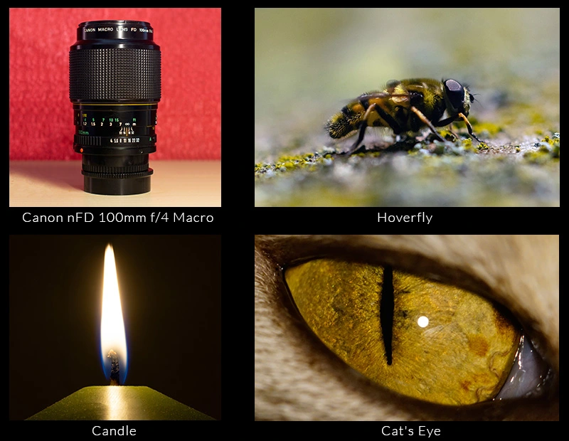 Canon nFD 100mm f4 Macro.webp