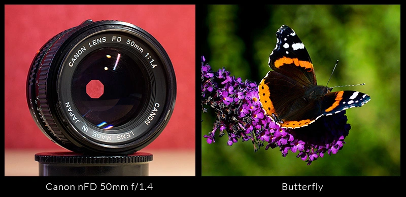 Canon nFD 50mm f1.4.webp