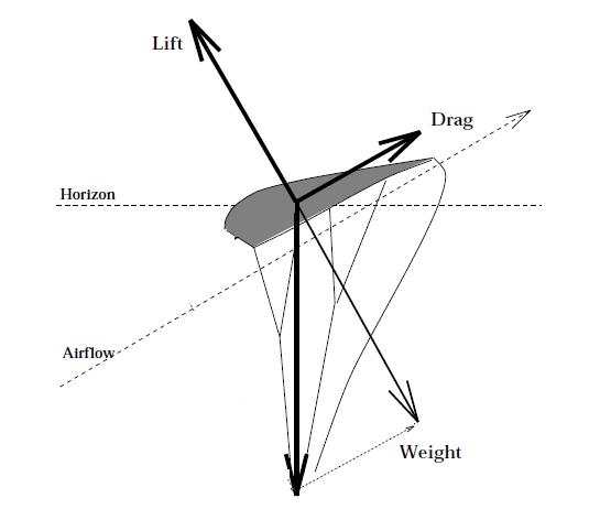 canopy_diagram.jpg