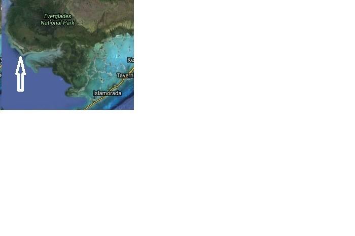 CapeSable.jpg
