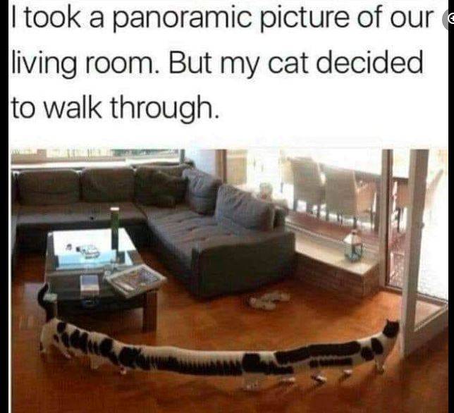 Capture.JPG