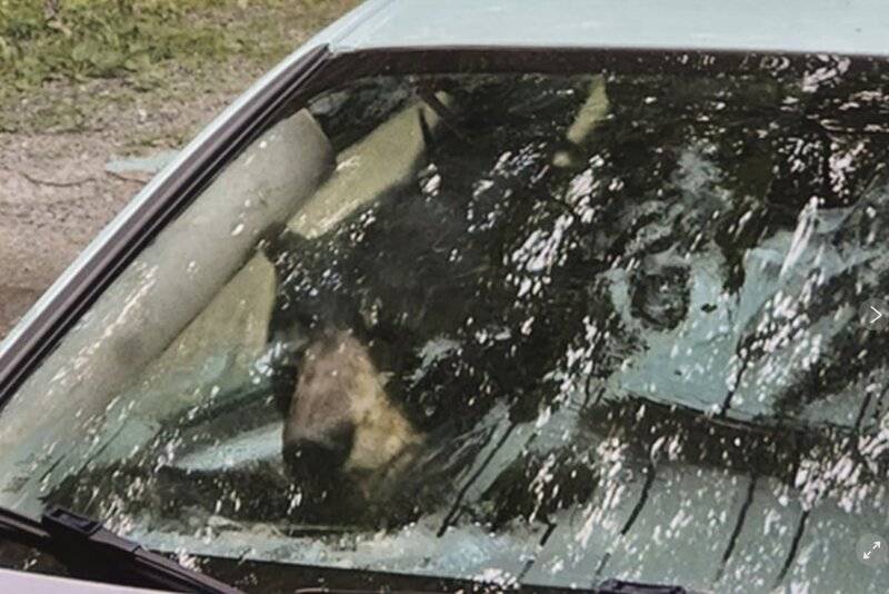 Car1.jpg
