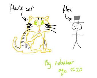 cat-1.jpg