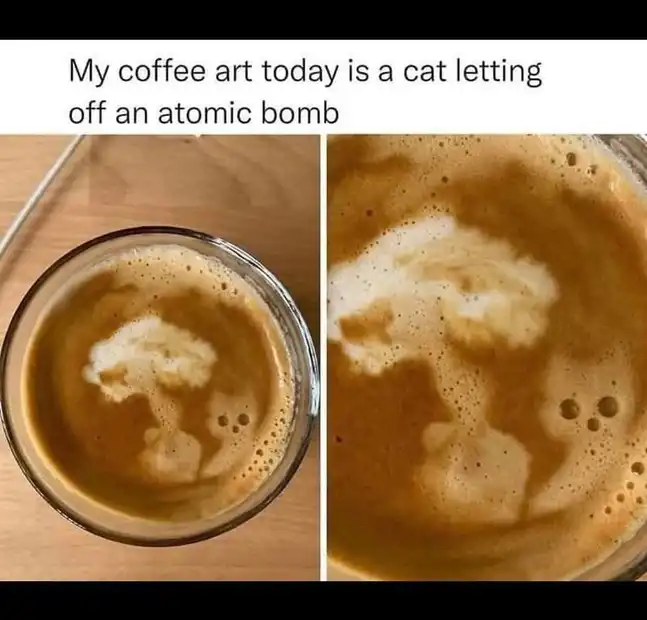 Cat Atom Bomb.webp