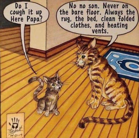 Cat Cough.jpg