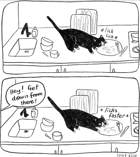 Cat licks faster.webp