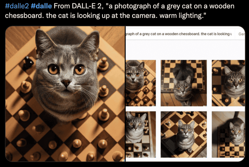 Cat on chessboard.png