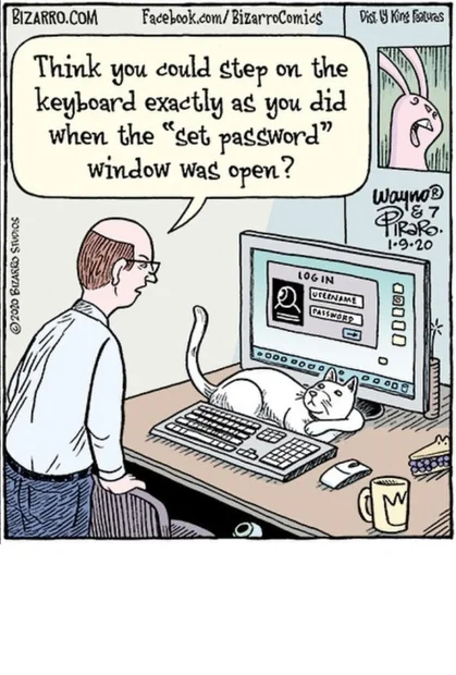 Cat password.webp