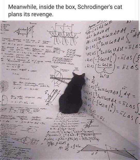 cat-revenge.jpg