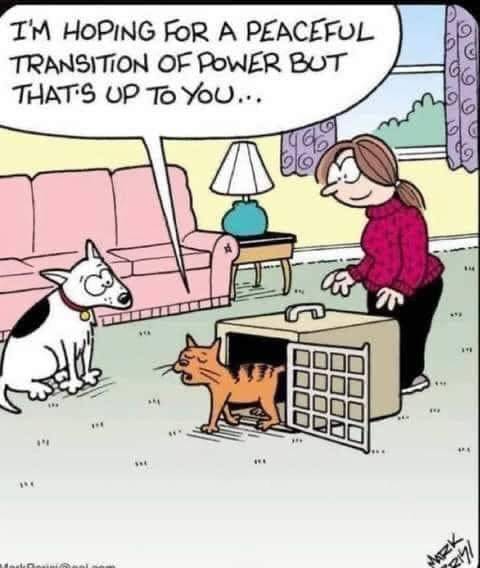 Cat Transition of Power.jpg