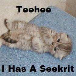 cat_secret.jpg