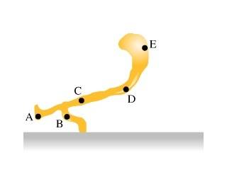 Center of Mass.jpg