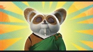 character_thumb_310x175_shifu.jpg