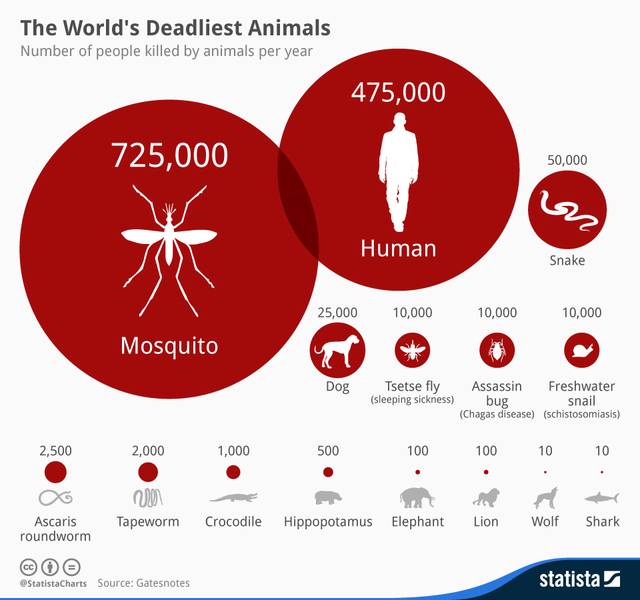 chartoftheday_2203_The_Worlds_Deadliest_Animals__n.jpg