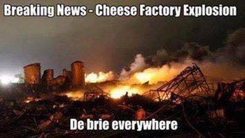 cheese factory.jpg