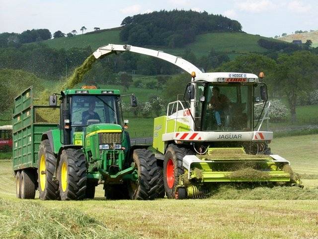 Chopping_Grass_for_Silage_-_geograph.org.uk_-_1343401.jpg