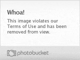 chucknorris.jpg