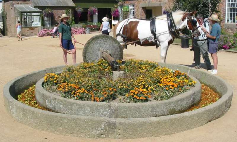 cidre04.jpg