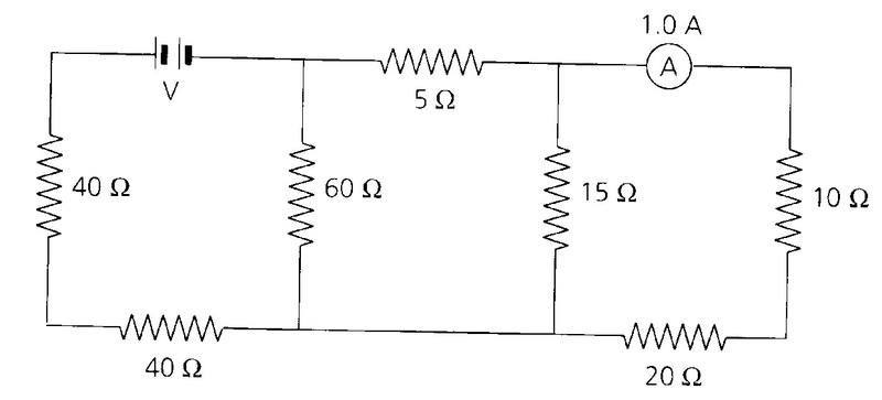 circuit.jpg