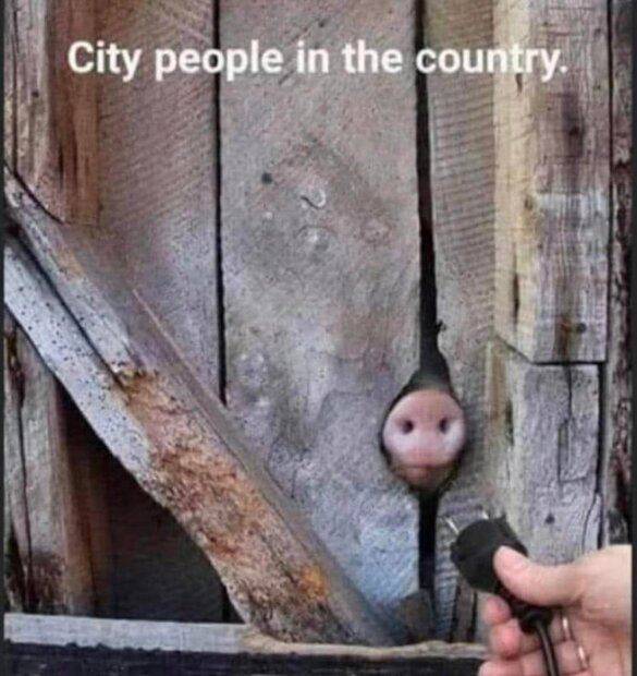 city-people.jpg