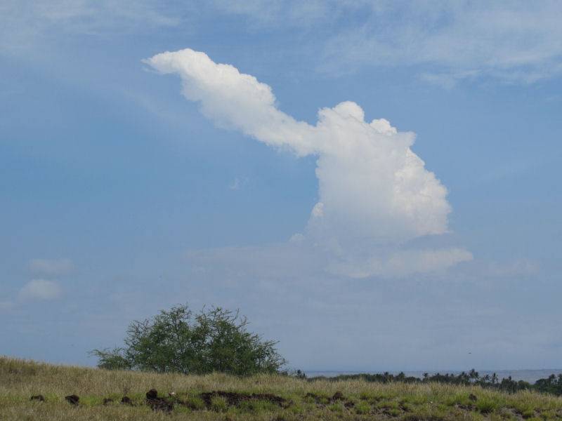 cloud.JPG