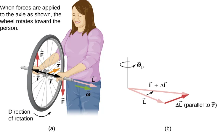 CNX_UPhysics_11_04_Bicycle.webp