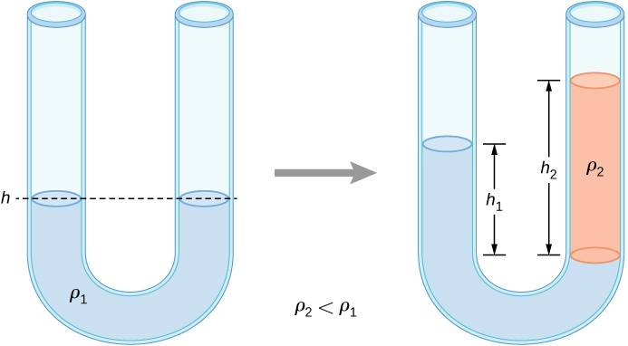 CNX_UPhysics_Figure_14_02_UtubeTwoDe.jpg