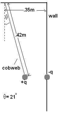 cobweb.jpg