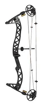 compound bow.jpg