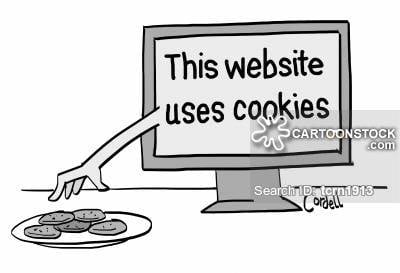 computers-website-website_cookie-biscuit-snack-internet_research-tcrn1913_low.jpg